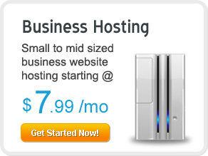 Business Hosting